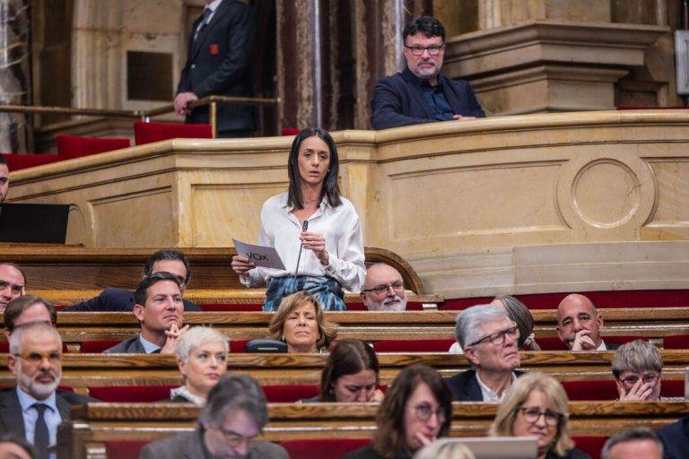 FOTOGRAFÍA. BARCELONA (REINO DE ESPAÑA), AÑO 2023. Mónica Lora Cisquer es número 5 de VOX al 12M. La política catalana, madre de familia numerosa y vecina de la capital del Maresme (Mataró), Mónica Lora Cisquer, durante una sesión de control al régimen separatista de que okupa el Palacio del Govern de la Generalitat de Catalunya y preside el aprendiz de dictador hispanófobo y ultra de la extrema izquierda separatista Esquerra Republicana de Catalunya (ERC), Pere Aragonés García. Lasvocesdelpueblo (Ñ Pueblo)