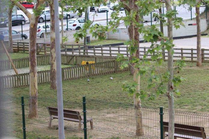 Temperaturas, Aemet, Sabadell, sombrillas, Reino de España, Perro, mascota (4) FOTOGRAFÍA. SABADELL (CAPITAL COMARCA DEL VALLÉS OCCIDENTAL) BARCELONA (REINO DE ESPAÑA), 25 DE ABRIL DE 2024. Heladas débiles y descenso de temperaturas en España. Tarde de primavera, con cielos cubiertos y nubosos, en el parque de la barriada obrera de Can Rull, junto a la carretera de Tarrasa, en la capital de la comarca del Vallés Occidental, Sabadell, en la provincia de Barcelona (Cataluña) Reino de España. Lasvocesdelpueblo (Ñ Pueblo)