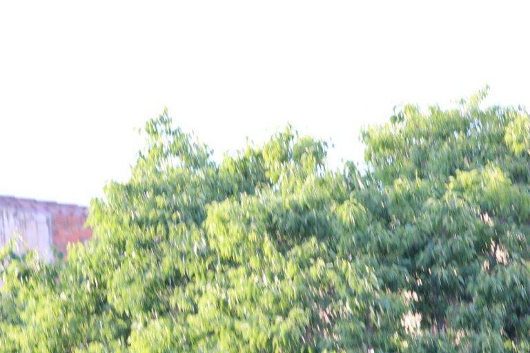 FOTOGRAFÍA. SANT CUGAT DEL VALLÉS (BARCELONA) REINO DE ESPAÑA, 08 DE MAYO DE 2024. Precipitaciones en forma de chubascos en España. Elecciones catalanas del 12 Mayo. Detalle del tiempo que hace durante el Gran acto electoral de VOX esta tarde y noche en Plaza Lluís Millet de Sant Cugat del Vallés, comarca del Vallés Occidental, en la provincia de Barcelona. Lasvocesdelpueblo (Ñ Pueblo)