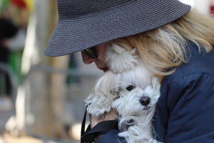Los obreros catalanes arropan al candidato Garriga en Hospitalet, 1 mayo 2024, día internacional de los trabajadores, Primero de Mayo (3) FOTOGRAFÍA. BARRIADA SANT EULÀLIA DE HOSPITALET DE LLOBREGAT (BARCELONA) CATALUÑA (REINO DE ESPAÑA), 01 DE MAYO DE 2024. Precipitaciones localmente fuertes y con tormenta en España. Acto Primero de Mayo 2024 del sindicato para la Defensa de los Trabajadores de España Solidaridad y el partido de los obreros españoles VOX. Desde la formación de la clase trabajadora y obrera de España, han movilizado un potencial importante de las caras visibles del proyecto verde para acompañar a los obreros catalanes y los del resto de España —liderados por el secretario general del sindicato Solidaridad, Rodrigo Alonso Fernández- este mediodía en Participará, en plaza Pius XII de la barriada Santa Eulàlia —situada cerca de la escuela Centro Escolar Santa Eulalia y del mercado Mercat de Santa Eulàlia—; concretamente, a la diputada por Almería al Congreso de los Diputados, Rocío de Meer Méndez, al jefe de la delegación de VOX en la Eurocámara y candidato del Partido para las elecciones europeas del próximo 6 y 9 de junio de 2024, Jorge Buxadé Villalba, y al candidato a president del Govern de la Generalitat de Catalunya y secretario general de VOX, Ignacio Garriga Vaz de Conceiçao, quien ha clausurado el acto reivindicativo. Lasvocesdelpueblo (Ñ Pueblo)