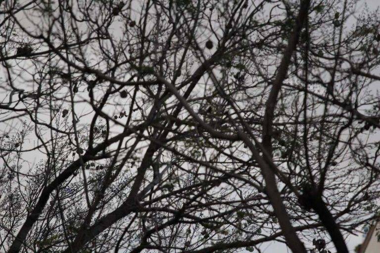 FOTOGRAFÍA. DISTRITO DE NOU BARRIS DE LA CIUDAD DE BARCELONA (CATALUÑA) REINO DE ESPAÑA, 07 DE MAYO DE 2024. Lluvias y cielos en España el 23M. Las temperaturas máximas aumentarán en la vertiente atlántica y Can. Chubascos y cielos nubosos en España. Cielos nubosos durante un mitin de VOX para las elecciones catalanas del 12 de mayo de los Jardines de Alfabia del distrito Nou Barris de la ciudad de Barcelona, en defensa propia. Lasvocesdelpueblo (Ñ Pueblo)