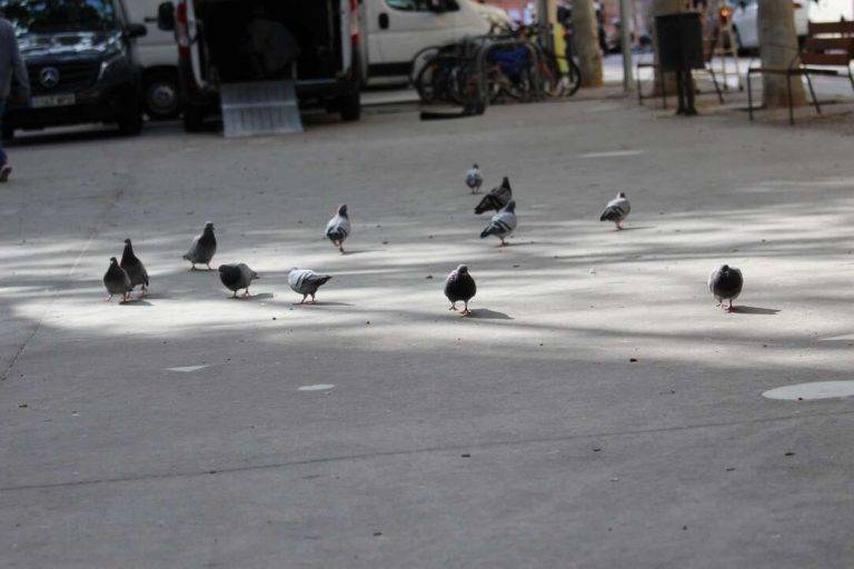 FOTOGRAFÍA. DISTRITO DE NOU BARRIS DE LA CIUDAD DE BARCELONA (CATALUÑA) REINO DE ESPAÑA, 07 DE MAYO DE 2024. Cielos nubosos durante un mitin de VOX para las elecciones catalanas del 12 de mayo de los Jardines de Alfabia del distrito Nou Barris de la ciudad de Barcelona, en defensa propia. Lasvocesdelpueblo (Ñ Pueblo)