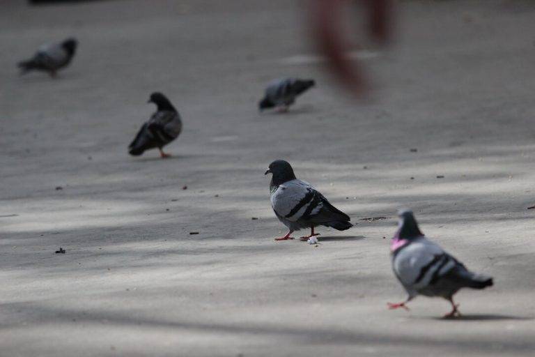 FOTOGRAFÍA. DISTRITO DE NOU BARRIS DE LA CIUDAD DE BARCELONA (CATALUÑA) REINO DE ESPAÑA, 07 DE MAYO DE 2024. Lluvias con tormentas ocasionales en España. Cielos nubosos durante un mitin de VOX para las elecciones catalanas del 12 de mayo de los Jardines de Alfabia del distrito Nou Barris de la ciudad de Barcelona, en defensa propia. Lasvocesdelpueblo (Ñ Pueblo)