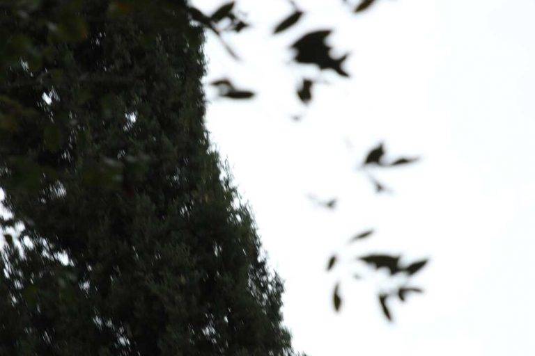 FOTOGRAFÍA. BARCELONA (REINO DE ESPAÑA), 12 DE MAYO DE 2024. Lluvias y cielos nubosos en el Reino de España. Jornada electoral y Noche Electoral del 12M con VOX en Barcelona. Elecciones catalanas del 12 Mayo (12M). VOX gana las encuestas y sube en votos y porcentaje de votos, manteniendo a todos sus diputados de la pasada legislatura. El presidente de VOX, Santiago Abascal Conde, arropa a los nuevos representantes de la Resistencia, liderados por el candidato a President del Govern de la Generalitat de Catalunya, Ignacio Garriga Vaz de Conceiçao, 8 diputados por Barcelona -María Elisa García Fuster, Joan Garriga Doménech, Manuel Jesús Acosta Elías (Manuel Acosta), Mónica Lora Cisquer, Júlia Calvet Puig, Andrés Félix Bello Sanz-, 2 por Tarragona -Sergio Macián de Greef y Javier Ramírez Gutiérrez- 1 por Gerona, Alberto Tarradas Peneque y por Lérida Rafael Villafranca Merce. Lasvocesdelpueblo (Ñ Pueblo)