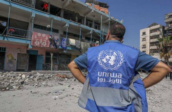 FOTOGRAFÍA. ZEITOUN (CIUDAD DE GAZA) FRANJA DE GAZA (PALESTINA), 19 DE JULIO DE 2024. El Ejército de Defensa de Israel elimina al agente secreto de Hamás en la ONU. Detalle de una persona supuesto trabajador de la Agencia de Naciones Unidas para los Refugiados de Palestina en Oriente Próximo (UNRWA), agencia usada por los terroristas islamistas de Hamás e Yihad Islámica Palestina en la zona de Zeitoun, en la ciudad de Gaza, tras una respuesta militar de las Fuerzas Áreas de Israel (FAI) contra el complejo de la ONU en Gaza donde se alojaba el oficial de inteligencia militar del grupo terrorista islamista palestino Hamás, Adel Hamediya, terrorista antisemita e yihadista que, por supuesto, ha sido eliminado junto a los miembros de su organización criminal que le acompañaba en la ONU. AJN