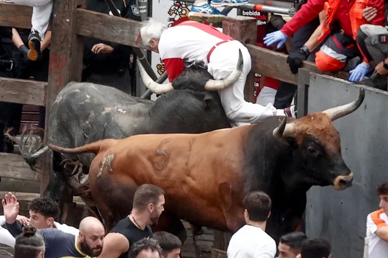 FOTOGRAFÍA. PAMPLONA (NAVARRA) REINO DE ESPAÑA, 14 DE JULIO DE 2024. VIII Sanfermines 2024: Traumatismos torácicos y contusiones. Los Miura protagonizan un peligroso último encierro de los Sanfermines. Un mozo es embestido por uno de los toros de la ganadería sevillana de Miura durante el último encierro de los Sanfermines 2024, este domingo, en Pamplona. Efe