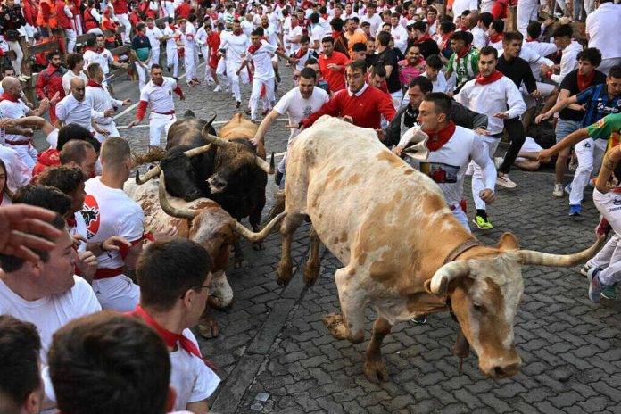 Los toros de La Palmosilla,san fermín, sanfermines, sanfermines 2024,toros FOTOGRAFÍA. PAMPLONA (NAVARRA) REINO DE ESPAÑA, 07 DE JULIO DE 2024. Sanfermines 2024| Estreno Sanfermines 2024| Contusión craneal y traumatismo con pérdida de consciencia.- Dos toros arrollan a un cabestro durante el primer encierro de los Sanfermines este domingo en el Día de San Fermín, copatrón de Pamplona, ciudad que celebra los Sanfermines, Fiesta de Interés Turístico Internacional, hasta el próximo 14 de julio. EFE/ Daniel Fernández