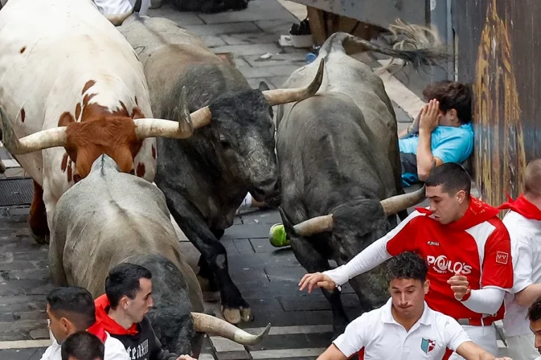 FOTOGRAFÍA. PAMPLONA (NAVARRA) REINO DE ESPAÑA, 13 DE JULIO DE 2024. SANFERMINES 2024. VII encierro Sanfermines 2024: 6 trasladados con contusiones.- Varios mozos se protegen al paso de los toros de la ganadería abulense de José Escolar Gil durante el séptimo encierro de los Sanfermines 2024 este sábado en Pamplona, comunidad autónoma de Navarra (Reino de España). Efe