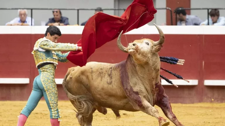 FOTOGRAFÍA. SAN SEBASTIÁN (REINO DE ESPAÑA), 17 DE AGOSTO DE 2024.v.- El torero Pablo Aguado durante la tercera y última tarde de toros de la Semana Grande donostiarra, este sábado, junto a los diestros Alejandro Talavante y Andrés Roca Rey. Efe