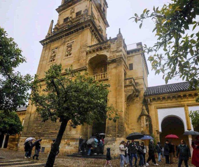 Operarios del ayuntamiento trabajan en la retirada de árboles caídos sobre los coches por el temporal de viento en Córdoba (1) FOTOGRAFÍA. CÓRDOBA (ANDALUCÍA) REINO DE ESPAÑA, 09 DE MARZO DE 2024. Chubascos y tormentas fuertes en el Reino de España.- Base de una de las palmeras abatidas por el viento y el agua en el Patio de los Naranjos de la Mezquita-Catedral de Córdoba.- Dos de las nueve palmeras del Patio de los Naranjos de la Mezquita-Catedral de Córdoba han caído por efecto del temporal de lluvia y viento. El incidente no ha afectado a la arquitectura del monumento, declarado Patrimonio de la Humanidad por la Unesco en 1994. Así lo ha informado el Cabildo Catedral de Córdoba, que gestiona el conjunto histórico. Uno de los doce cipreses, además, se ha partido por la mitad y se ha caído. Ha sido como consecuencia del "agua y el viento que soplaba en ese momento". Los servicios de seguridad del monumento alertaron a los servicios de mantenimiento de la Mezquita-Catedral. Tras ello procedieron a la retirada de las palmeras y del ciprés caídos. El templo fue abierto a la visita turística "con total normalidad", ha destacado el Cabildo. Efe