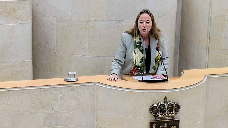 FOTOGRAFÍA. SANTANDER (COMUNIDAD AUTÓNOMA DE CANTABRIA) REINO DE ESPAÑA, 23 DE SEPTIEMBRE DE 2024. La portavoz parlamentaria de VOX y jurista española, consejera de Presidencia y Justicia del Gobierno de Cantabria desde junio de 2011 hasta julio de 2015, Leticia Díaz Rodríguez, este lunes durante su intervención. El pleno del Parlamento de la Comunidad autónoma española de Cantabria, con capital Santander, ha aprobado la tramitación de la "derogación de la Ley de Memoria Histórica y Democrática de Cantabria", impulsada por el Grupo Parlamentario VOX, y que fue acordada hace un año en sesión plenaria. Lasvocesdelpueblo (Ñ Pueblo)