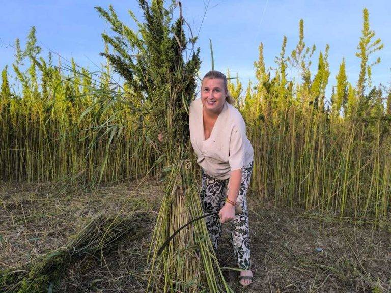 FOTOGRAFÍA. CALLOSA DE SEGURA (ALICANTE) REINO DE ESPAÑA, 13 DE SEPTIEMBRE DE 2024. La concejala de VOX en el Ayuntamiento de Callosa de Segura, Rosario Pilar Griñán Ramón, logra que el conjunto de actividades relacionadas con la cultura del Cáñamo en Callosa de Segura sea oficialmente reconocido como Bien de Interés Cultural inmaterial (BIC). Lasvocesdelpueblo (Ñ Pueblo)