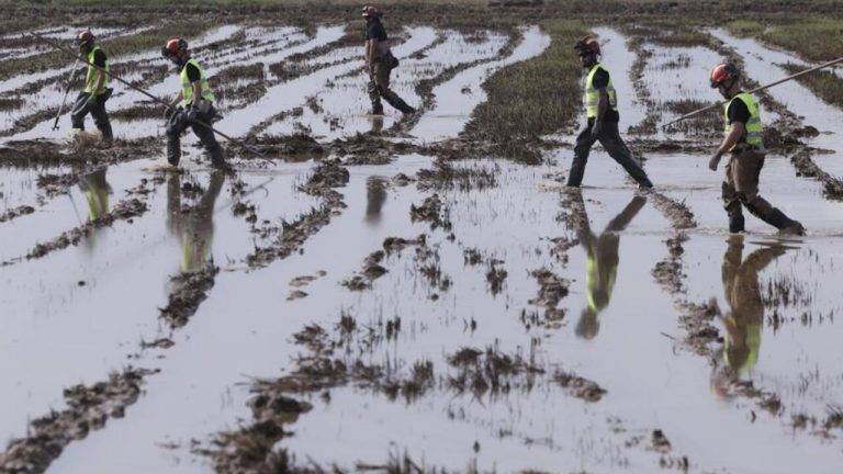 FOTOGRAFÍA. ALFAFAR (VALENCIA) COMUNIDAD VALENCIANA (REINO DE ESPAÑA, 08 DE NOVIEMBRE DE 2024. Imagen de militares de la Unidad Militar de Emergencias (UME) de León en labores de búsqueda de cuerpos arrastrados por las riadas entre los arrozales de Alfafar (Valencia) tras la Depresión Aislada en Niveles Altos (DANA). Efe 