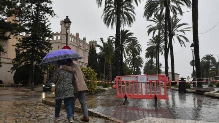 FOTOGRAFÍA. PALMA DE MALLORCA (ISLAS BALEARES) REINO DE ESPAÑA, 12 DE NOVIEMBRE DE 2024. EL TIEMPO ESPAÑA. El Ayuntamiento de Palma ha ordenado el cierre de todos los parques y jardines de la ciudad para prevenir riesgos ante posibles lluvias torrenciales y tormentas por la dana que mantiene en alerta naranja parte de la isla de Mallorca. Efe