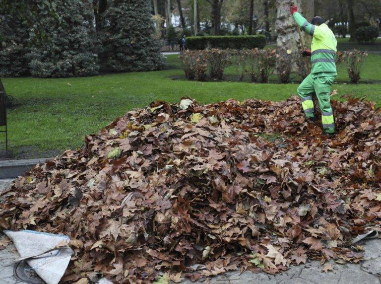 FOTOGRAFÍA. OVIEDO (PRINCIPADO DE ASTURIAS) REINO DE ESPAÑA, 05 DE DICIEMBRE DE 2024. Un jardinero trabaja en el parque de San Francisco de Oviedo (Reino de España) este jueves. Efe