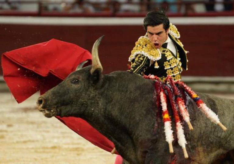 FOTOGRAFÍA. CALI (COLOMBIA), 30 DE DICIEMBRE DE 2024. El torero venezolano Jesús Enrique Colombo lidia al toro Duende de la ganadería Campo Real, este lunes durante la Feria de Cali, en Cali (Colombia). Efe