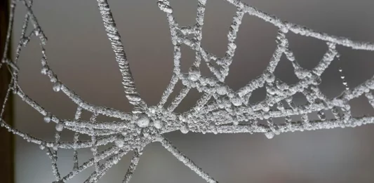 FOTOGRAFÍA. ZARAGOZA (COMUNIDAD AUTÓNOMA DE ARAGÓN) REINO DE ESPAÑA, 30 DE DICIEMBRE DE 2024. Vista de las heladas en Zaragoza este lunes. Nueve comunidades autónomas del interior peninsular se mantienen en alerta amarilla (riesgo para ciertas actividades) a primeras horas de la mañana por nieblas espesas con visibilidad de hasta 100 metros y/o temperaturas mínimas de hasta -6 grados. Por comunidades, están en alerta amarilla tanto por nieblas como por mínimas muy bajas Aragón y ambas Castillas; solo por nieblas, Cataluña, Galicia, Navarra, País Vasco y La Rioja; y por frío, Madrid. Efe
