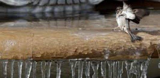 FOTOGRAFÍA. SA MESQUIDA (MENORCA) COMUNIDAD AUTÓNOMA DE ISLAS BALEARES (REINO DE ESPAÑA, 12 DE ENERO DE 2025. El temporal este domingo en Sa Mesquida, Menorca, en el Reino de España. La Agencia Estatal de Meteorología (Aemet) mantiene este domingo activo el aviso naranja en Menorca, el norte, noreste y el Llevant de Mallorca por fenómenos costeros. Efe
