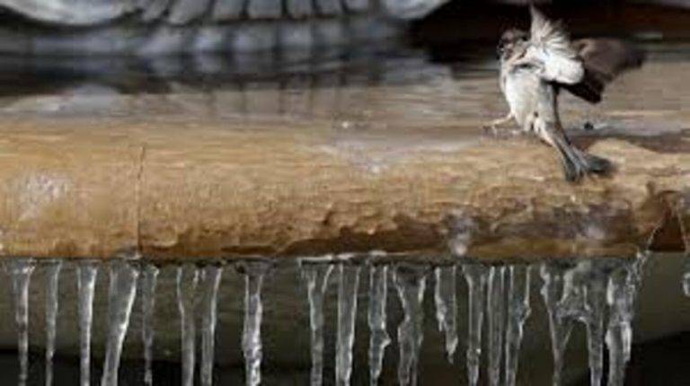 FOTOGRAFÍA. SA MESQUIDA (MENORCA) COMUNIDAD AUTÓNOMA DE ISLAS BALEARES (REINO DE ESPAÑA, 12 DE ENERO DE 2025. El temporal este domingo en Sa Mesquida, Menorca, en el Reino de España. La Agencia Estatal de Meteorología (Aemet) mantiene este domingo activo el aviso naranja en Menorca, el norte, noreste y el Llevant de Mallorca por fenómenos costeros. Efe
