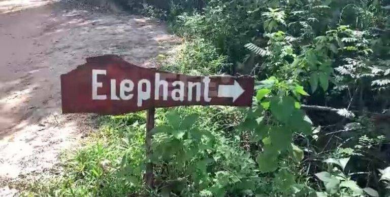 KOH YAO YAI (TAILANDIA), 04 DE ENERO DE 2025. En la imagen detalle de la entrada del centro de paquidermos "Koh Yao Elephant Care" en Koh Yao Yai (Tailandia) donde el elefante mató a una joven estudiante de la Universidad de Navarra este viernes. La Policía de Tailandia está investigando la muerte de la joven española, Blanca Ojanguren, que fue atacada el viernes por un elefante, en la isla de Yao Yai, cuando esta le daba un baño en un centro de paquidermos que ha sido cerrado luego del incidente. Yan, el propietario de Koh Yao Elephant Care -donde ocurrió el incidente-, confirmó a Efe que el centro se encuentra cerrado, sin fecha prevista de reapertura, y que cuando se produjo el ataque habían unas 18 personas en el lugar (10 trabajadores y 8 turistas), entre ellas el novio de Ojanguren. Captura vídeo/Lasvocesdelpueblo (Ñ Pueblo)