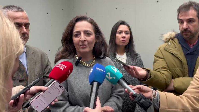 FOTOGRAFÍA. BADAJOZ (EXTREMADURA) REINO DE ESPAÑA, 07 DE FEBRERO DE 2025. Marta Castro Fuentes, la portavoz de las Acusaciones unificadas y coordinadora nacional jurídica de Vox —siendo esta formación patriota la Acusación Popular en la causa contra David Sánchez Pérez-Castejón, el hermano del presidente del Gobierno de España y secretario general del PSOE, Pedro Sánchez Pérez-Castejón—, registrada este viernes a la salida de los Juzgados de Badajoz, durante unas declaraciones a la prensa. Lasvocesdelpueblo (Ñ Pueblo)