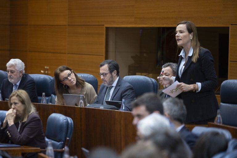 FOTOGRAFÍA. MADRID (REINO DE ESPAÑA), 20 DE FEBRERO DE 2025. La portavoz nacional de Agenda España de VOX y portavoz del Grupo Parlamentario de esta formación política de las clases obreras y patriotismo español en la Asamblea de Madrid, Isabel Pérez Moñino-Aranda, participa hoy a la sesión de control al Gobierno autonómico WOKE de mayoría absoluta del socialismo azul y migracionista que preside la wokista Isabel Natividad Díaz Ayuso. Lasvocesdelpueblo (Ñ Pueblo) 