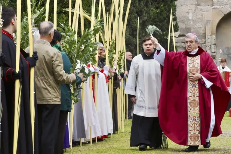 FOTOGRAFÍA. VALLADOLID (CASTILLA Y LEÓN) REINO DE ESPAÑA, 13 DE ABRIL DE 2025. El arzobispo de Valladolid y presidente de la Conferencia Episcopal, Luis Argüello (i), bendice las palmas de los niños de las veinte cofradías de la ciudad, protagonistas de la procesión más alegre y multitudinaria de la Semana Santa, conocida como 'la borriquilla'. Efe