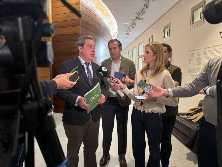 FOTOGRAFÍA. VALENCIA (COMUNIDAD VALENCIANA), 27 DE MARZO DE 20217. El portavoz del Grupo Parlamentario de VOX en las Cortes Valencianas, José María Llanos Pitarch, junto al diputado del Partido Popular (PP), Fernando Pastor Llorens, ha presentado a los medios de comunicación, el "Plan de Trabajo" para la Comisión de Investigación de la Riada -Depresión Aislada en Niveles Altos (DANA) o (gota fría)- "elaborado por VOX y PP", que se ha registrado esta mañana en las Cortes Valencianas. Lasvocesdelpueblo (Ñ Pueblo)