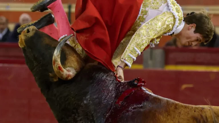 FOTOGRAFÍA. ZARAGOZA (ARAGÓN) REINO D EESPAÑA, 22 DE ABRIL DE 2025. El novillero Javier Zulueta sufre una cogida durante la segunda novillada de la Feria de San Jorge de Zaragoza. Efe