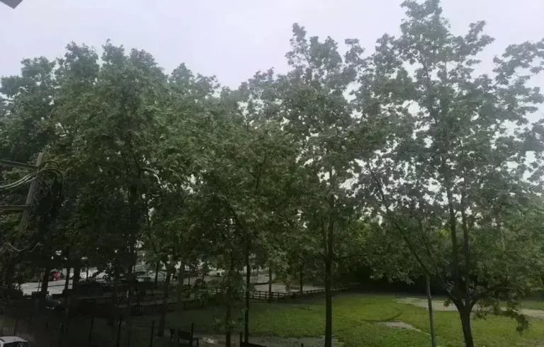 FOTOGRAFÍA. SABADELL (BARCELONA) CATALUÑA (REINO D EESPAÑA, 05 DE MAYO DE 2025. Detalle de un parque de la barriada de Ca'n Rull de la ciudad de Sabadell (Barcelona) Cataluña este lunes por la tarde bajo lluvia intensa. Lasvocesdelpueblo (Ñ Pueblo)