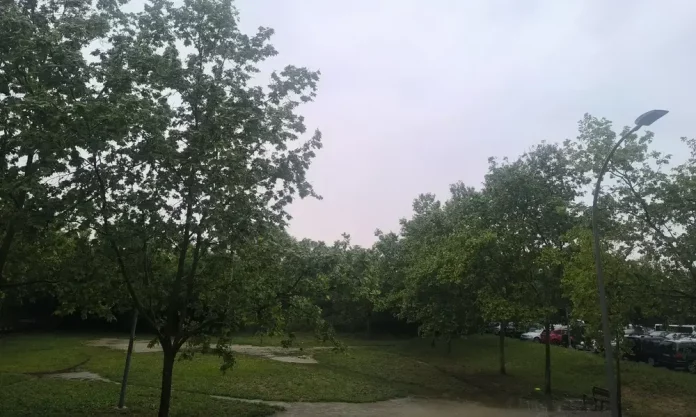 Aviso amarillo por lluvias intensas y tormentas, entre 15 y 20 litros, Castillas, Cataluña, Comunidad de Madrid y Comunidad Valenciana, Sabadell, lunes (2) FOTOGRAFÍA. SABADELL (BARCELONA) CATALUÑA (REINO D EESPAÑA, 05 DE MAYO DE 2025. Detalle de un parque de la barriada de Ca'n Rull de la ciudad de Sabadell (Barcelona) Cataluña este lunes por la tarde bajo lluvia intensa. Lasvocesdelpueblo (Ñ Pueblo)