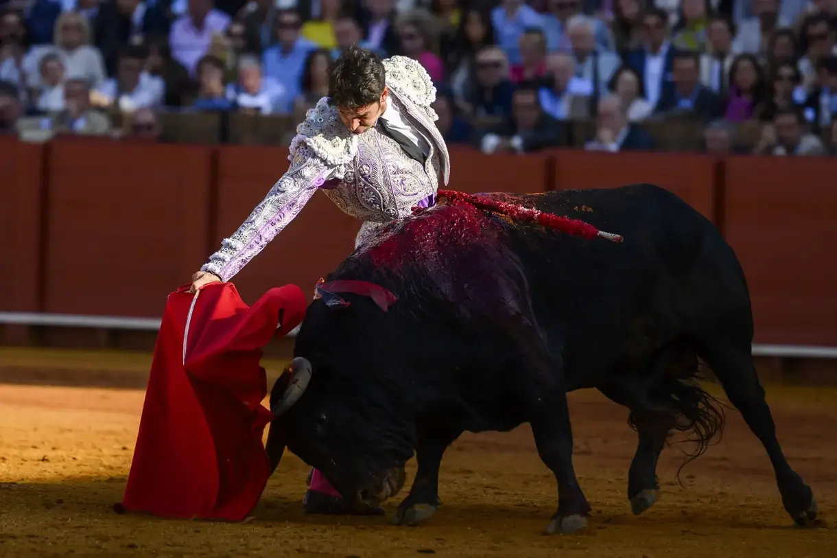 FOTOGRAFÍA. SEVILLA (ANDALUCÍA) REINO D EESPAÑA, 10 DE MAYO DE 2025. El diestro Cayetano Rivera Ordóñez (en la imagen) da un pase a su toro durante la corrida en la Maestranza de Sevilla, en la que comparte cartel con los diestros Andrés Raúl Roca Rey Valdez "Roca Rey", y el onubense David Pérez Sánchez "David de Miranda", este sábado en Sevilla. Efe
