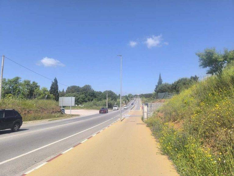 FOTOGRAFÍA. SABADELL (BARCELOAN) REINO DE ESPAÑA, 17 DE MAYO DE 2025. Detalle del estado de la vegetación en la N-150, entre Sabadell, la capital de la Comarca del Vallés Occidental (provincia de Barcelona), y el municipio de Terrassa este sábado de la primavera 2025. Lasvocesdelpueblo (Ñ Pueblo)