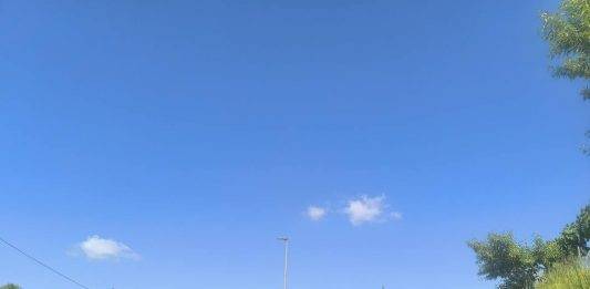 FOTOGRAFÍA. SABADELL (BARCELOAN) REINO DE ESPAÑA, 17 DE MAYO DE 2025. Detalle del estado de la vegetación en la N-150, entre Sabadell, la capital de la Comarca del Vallés Occidental (provincia de Barcelona), y el municipio de Terrassa este sábado de la primavera 2025. Lasvocesdelpueblo (Ñ Pueblo)