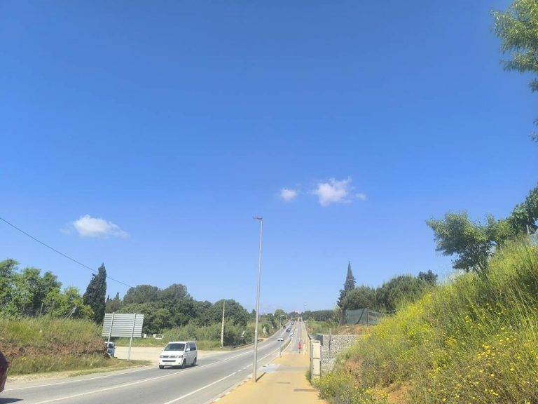 FOTOGRAFÍA. SABADELL (BARCELOAN) REINO DE ESPAÑA, 17 DE MAYO DE 2025. Detalle del estado de la vegetación en la N-150, entre Sabadell, la capital de la Comarca del Vallés Occidental (provincia de Barcelona), y el municipio de Terrassa este sábado de la primavera 2025. Lasvocesdelpueblo (Ñ Pueblo)