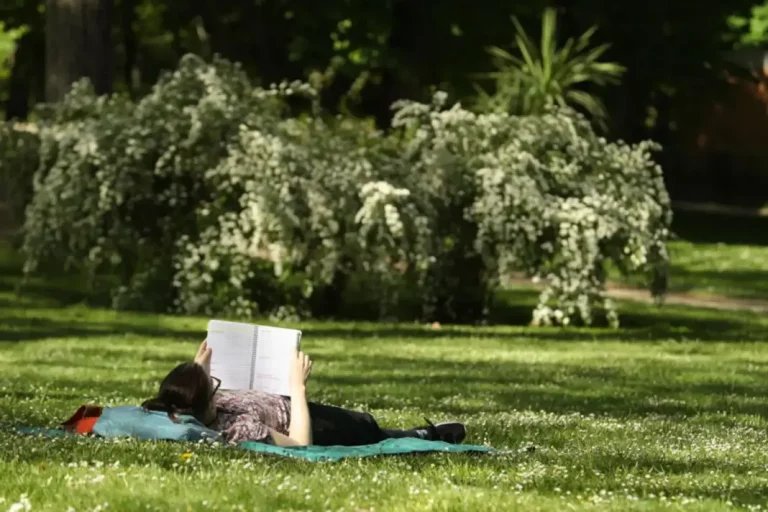 FOTOGRAFÍA. MADRID (COMUNIDAD DE MADRID) REINO DE ESPAÑA, 25 DE ABRIL DE 2025. Detalle de una imagen de una persona leyendo al sol en el Parque del Retiro, en Madrid, en la Comunidad de Madrid (Reino de España). Efe