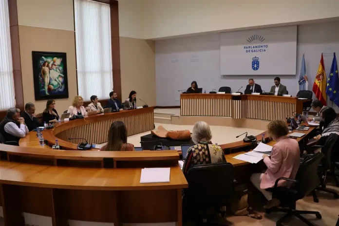 Parlamento de Galicia, FOTOGRAFÍA. SANTIAGO DE COMPOSTELA (LA CORUÑA) GALICIA (REINO DE ESPAÑA), 22 DE MAYO DE 2025. Detalle de una visita general de la reunión de la Comisión 1ª, Institucional, Administración General, Justicia e Interior del Parlamento de autonómico de Galicia, celebrada este jueves. Lasvocesdelpueblo (Ñ Pueblo)