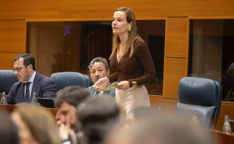 FOTOGRAFÍA. MADRID (COMUNIDAD DE MADRID) REINO DE ESPAÑA, 22 D EMAYO DE 2025. la portavoz del Grupo Parlamentario de VOX en la Asamblea de Madrid y portavoz nacional de Agenda España de VOX, Isabel Pérez Moñino-Aranda (en la imagen); junto a la portavoz adjunta y portavoz de VOX en la Comisión de Investigación de presuntos tratos de favor en la Cátedra de la mujer del presidente del Gobierno de España Pedro Sánchez Pérez-Castejón (María Begoña Gómez Fernández) en la Universidad Complutense de Madrid, Ana María Cuartero Lorenzo (Ana Cuartero); y a otro miembros del Grupo VOX Asamblea de Madrid, participan este jueves en la Sesión de Control al Ejecutivo de mayoría absoluta de la derechista cobarde WOKE de Isabel Natividad Díaz Ayuso. Lasvocesdelpueblo (Ñ Pueblo)