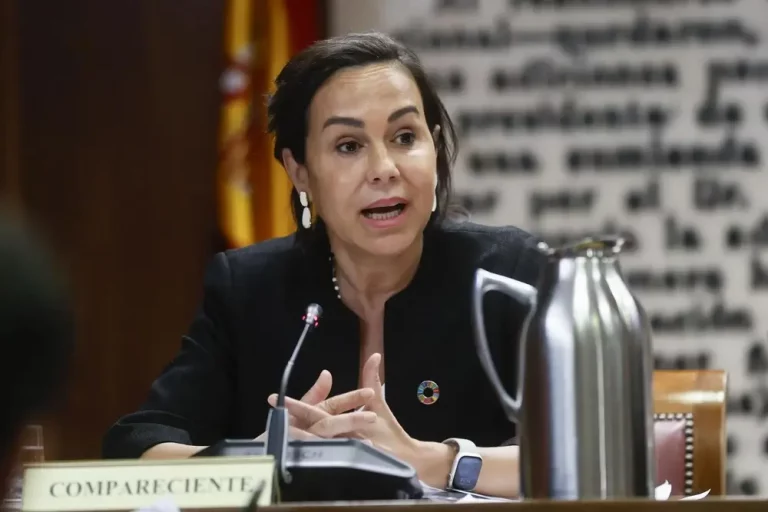 FOTOGRAFÍA. MADRID (REINO DE ESPAÑA), 31 DE MAYO DE 2024. Detalle una imagen de Isabel Pardo de Vera, ex secretaria de Estado de Transportes, Movilidad y Agenda Urbana, en la comisión de investigación del caso Koldo del Senado. Efe