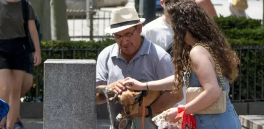 FOTOGRAFÍA. REINO DE ESPAÑA, 31 DE MAYO DE 2025. Detalle de dos personas con un perro en una fuente de agua pública. Los termómetros en el día de hoy no perdonan. El mercurio en la sombra superará los 35 grados y al sol superan los 40 grados. Efe