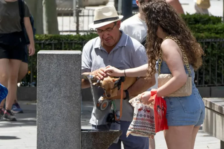 FOTOGRAFÍA. REINO DE ESPAÑA, 31 DE MAYO DE 2025. Detalle de dos personas con un perro en una fuente de agua pública. Los termómetros en el día de hoy no perdonan. El mercurio en la sombra superará los 35 grados y al sol superan los 40 grados. Efe
