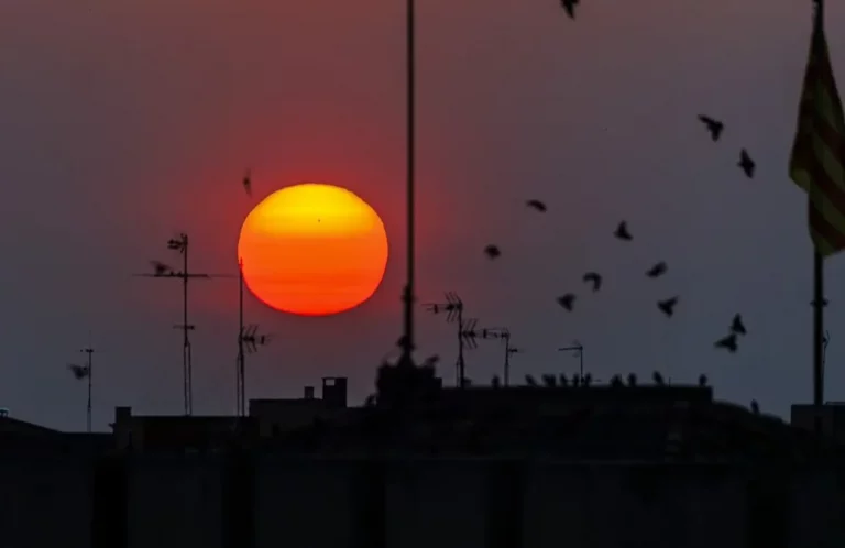 FOTOGRAFÍA. ZARAGOZA (ARAGÓN) REINO DE ESPAÑA, 08 DE JUNIO DE 2025. El sol se oculta este domingo en Zaragoza. Efe
