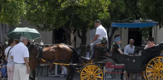 FOTOGRAFÍA. SEVILLA (ANDALUCÍA) REINO DE ESPAÑA, 21 DE JUNIO DE 2025. Una pareja se protege del sol este sábado en Sevilla. El verano ha comenzado a las 04.42 horas y lo hace con calor intenso, de más de 40 grados en puntos del sur peninsular, aunque en el Cantábrico va a la baja, en el comienzo de un cambio de tiempo por el acercamiento, este domingo, de una DANA que dejará máximas ligeramente más bajas. Efe