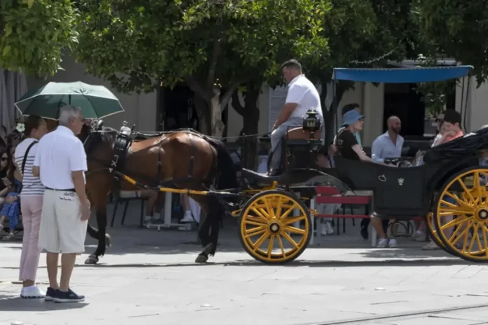 Sevilla,calor, temperatura,verano,verano 2025, El verano comienza en España con calor intenso de más de 40 grados (2) FOTOGRAFÍA. SEVILLA (ANDALUCÍA) REINO DE ESPAÑA, 21 DE JUNIO DE 2025. Una pareja se protege del sol este sábado en Sevilla. El verano ha comenzado a las 04.42 horas y lo hace con calor intenso, de más de 40 grados en puntos del sur peninsular, aunque en el Cantábrico va a la baja, en el comienzo de un cambio de tiempo por el acercamiento, este domingo, de una DANA que dejará máximas ligeramente más bajas. Efe