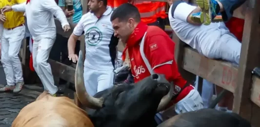 FOTOGRAFÍA. PAMPLONA (NAVARRA) REINO DE ESPAÑA, 13 DE JULIO DE 2025. Uno de los mozos es embestido durante el séptimo encierro de los Sanfermines 2025 este domingo en Pamplona. Efe