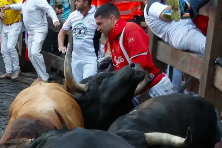 FOTOGRAFÍA. PAMPLONA (NAVARRA) REINO DE ESPAÑA, 13 DE JULIO DE 2025. Uno de los mozos es embestido durante el séptimo encierro de los Sanfermines 2025 este domingo en Pamplona. Efe