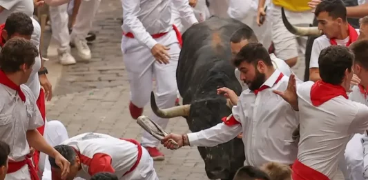 FOTOGRAFÍA. PAMPLONA (NAVARRA) REINO DE ESPAÑA, 07 DE JULIO DE 2025. Los mozos son perseguidos por animales de la ganadería gaditana de Fuente Ymbro durante el primer encierro de los Sanfermines 2025. Efe