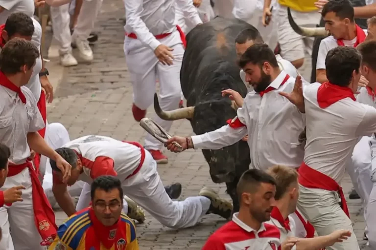 FOTOGRAFÍA. PAMPLONA (NAVARRA) REINO DE ESPAÑA, 07 DE JULIO DE 2025. Los mozos son perseguidos por animales de la ganadería gaditana de Fuente Ymbro durante el primer encierro de los Sanfermines 2025. Efe