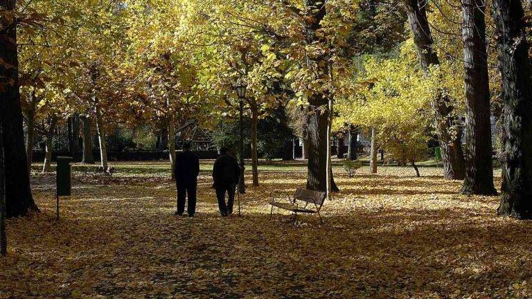 FOTOGRAFÍA. REINO DE ESPAÑA, 06 DE NOVIEMBRE DE 2011. Detalle de dos ancianos pasean por un parque. Efe