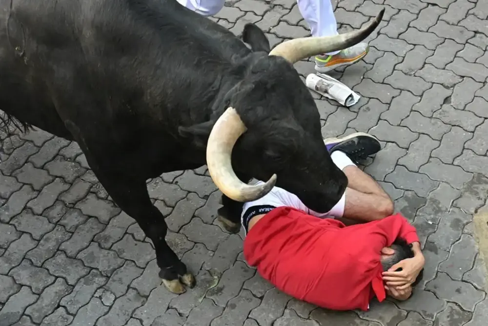 FOTOGRAFÍA. PAMPLONA (NAVARRA) REINO DE ESPÑA, 10 DE JULIO DE 2025. Uno de los mozos se protege la cabeza tras caer al paso de uno de los toros de la ganadería Victoriano del Río Cortés durante el cuarto encierro de los Sanfermines, este jueves, en Pamplona. Efe